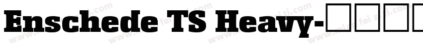 Enschede TS Heavy字体转换